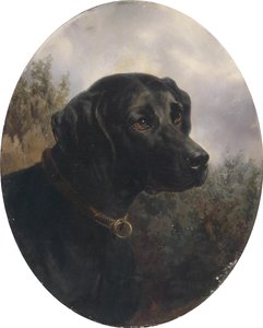 Hector, Pointing Dog of Arthur Ritter von Schnapper